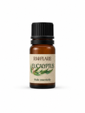 Huile Essentielle d'Eucalyptus